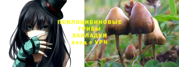 эйфоретик Магадан
